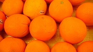 The Colour Orange