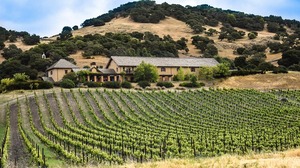 The Wines of Sunny California