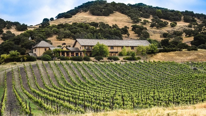 The Wines of Sunny California