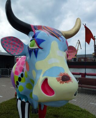 Cows and The Straits in Ventspils