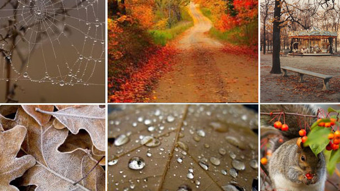 My Feeling of Autumn
