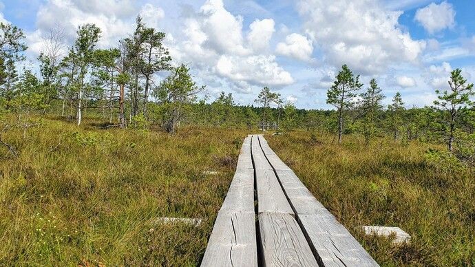 Nature Walking Trails in the Riga Surroundings