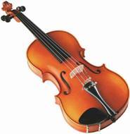 About Violins