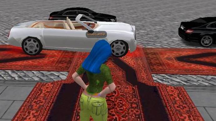 A Walk in the Virtual World