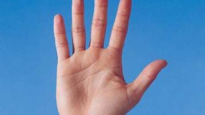 What Does a Person's Palm Tell Us?
