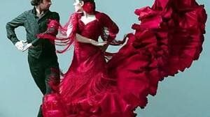 Flamenco - Spanish Passion