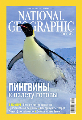 National Geographic November 2012 Issue on Penguins