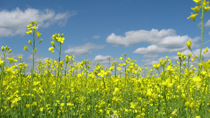 Photo Gallery