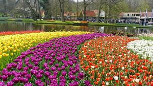 The Flower Festival in Holland
