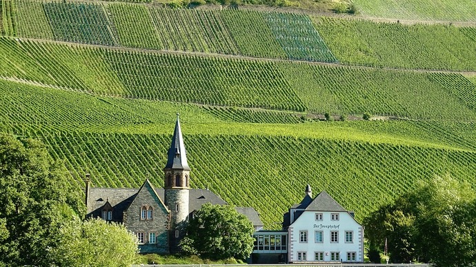 Riesling - the King of German Wines, and Others