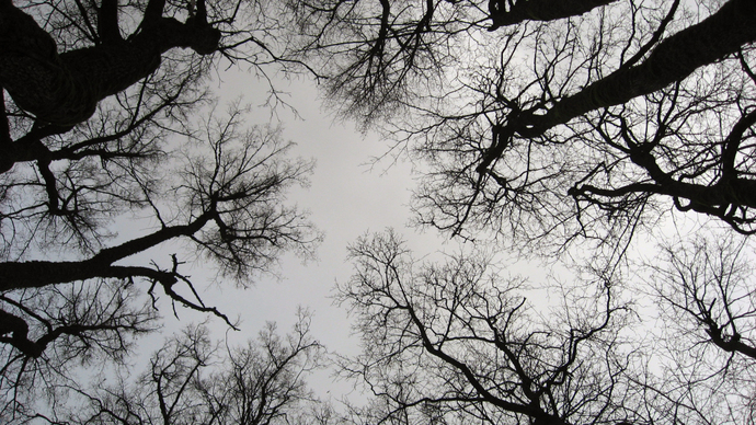 Almost Wintry Turaida