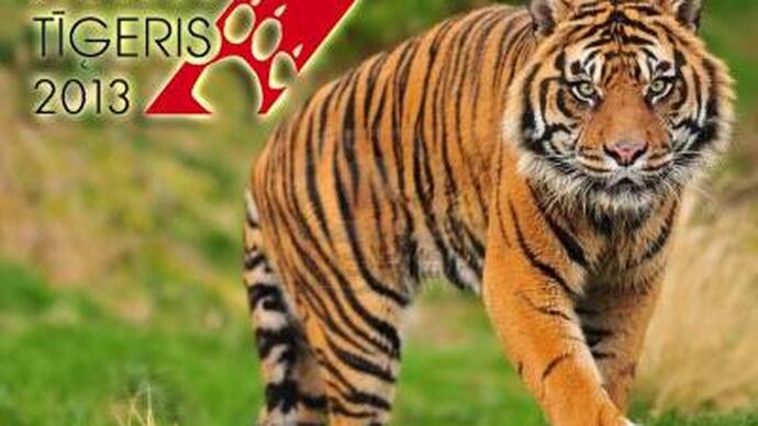 Tigers Gather in Riga Again: Business Tiger 2013
