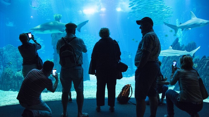 Travel Diary. Day 3. Lisbon Oceanarium.