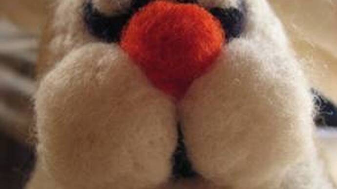 A Felted Rabbit