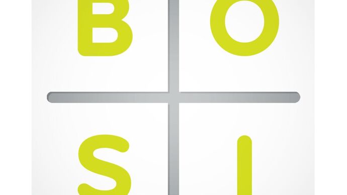 The BOSI Entrepreneurial Gene