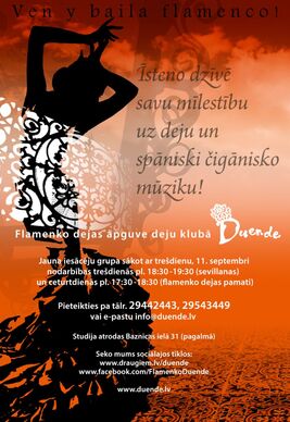 Come and Learn Flamenco!